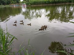 -朝阳公园游乐园