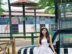-灵玲国际马戏城