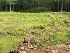 -芦芽山旅游度假区