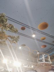 -卡通尼·Safari非洲探索乐园·生日会(金桥国际商业广场店)