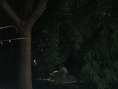 -沪东工人文化宫