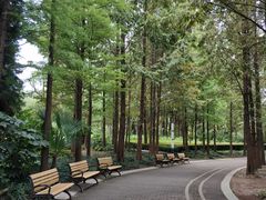 -苏州河梦清园环保主题公园