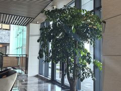 -水月周庄铂尔曼酒店 · 漾全日餐厅