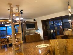 大堂-喵园·猫主题咖啡厅·撸猫·猫咖(国贸店)