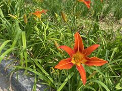 -天津东丽湖风景区