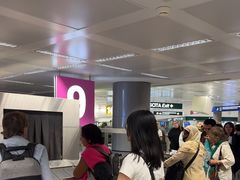 -米兰马尔彭萨国际机场