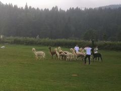 -武陵山森林公园