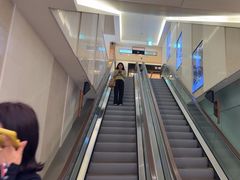 -新罗免税店(济州店)