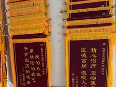 -派美特宠物医院·核磁CT·骨科肿瘤·疑难转诊(沈农禾丰店)