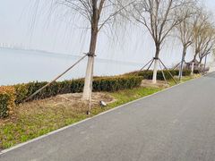 -天津东丽湖风景区