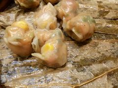 -海通1号(梅峰店)