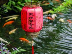 -聚福宝合苑食府(南头镇店)