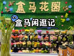 -盒马鲜生(红莲店)
