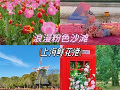 -上海鲜花港