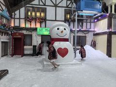 -世界之窗阿尔卑斯冰雪世界