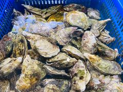 -七鲜渔港美食餐厅(巽寮湾海景店)