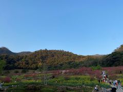 -广州市石门国家森林公园