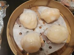 -高第街56号港式餐厅(山大路店)
