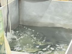 -大理.老字号渝记酸萝卜乌鱼(古城总店)