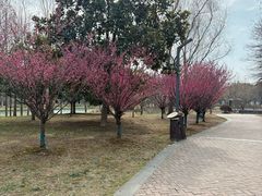 -同里国家湿地公园