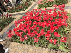 -石家庄市植物园