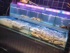 水产区-东厨虾煌(电子街店)