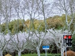 -碧云国际社区·晓园