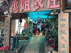 -桃姐农庄老字号(从化温泉店)