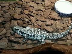 android_upload_pic-上海大自然野生昆虫馆