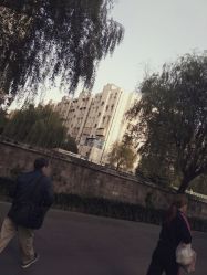 -复旦大学附属妇产科医院(杨浦院区)