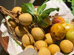 -季季山·云南野生菌火锅(上海首店)