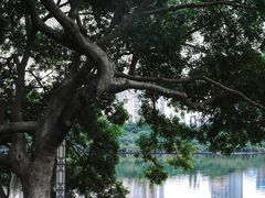 -白鹭洲公园