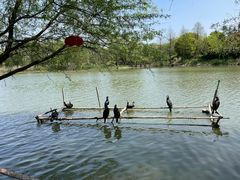 -长兴太湖图影湿地文化园