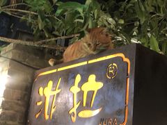 -野蔓果·山野菜(西湖景区·龙井茶田店)