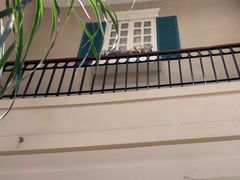-金海湾大酒店-可园餐厅