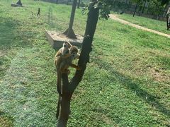 -石家庄市动物园