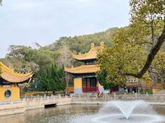 -普陀山慧济禅寺