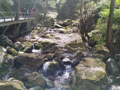 -牛背梁国家森林公园