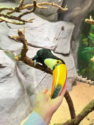 -Zoolung Zoolung动物主题公园(海信广场店)