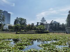 -四川大学(望江校区)