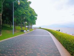 -深圳湾公园(南山区)