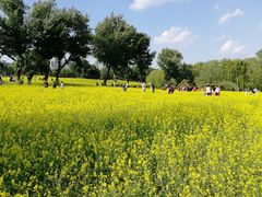 -长白岛森林公园