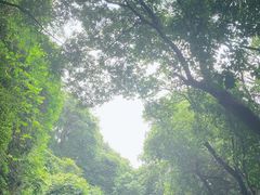 -广州市白云山风景名胜区