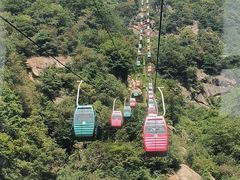 -王顺山国家森林公园