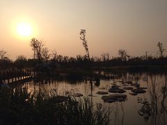 -上海长兴岛郊野公园