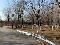 -永定河休闲森林公园