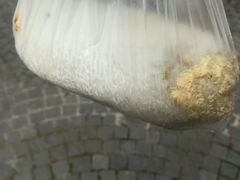 -殷姐糯米包油条