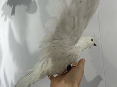 -上海梵高星空艺术馆(南京路旗舰店)