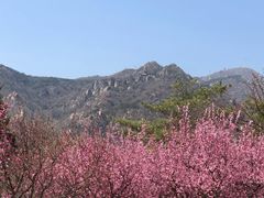 -北京鹫峰国家森林公园