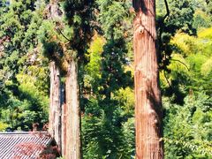 -东天目山风景区